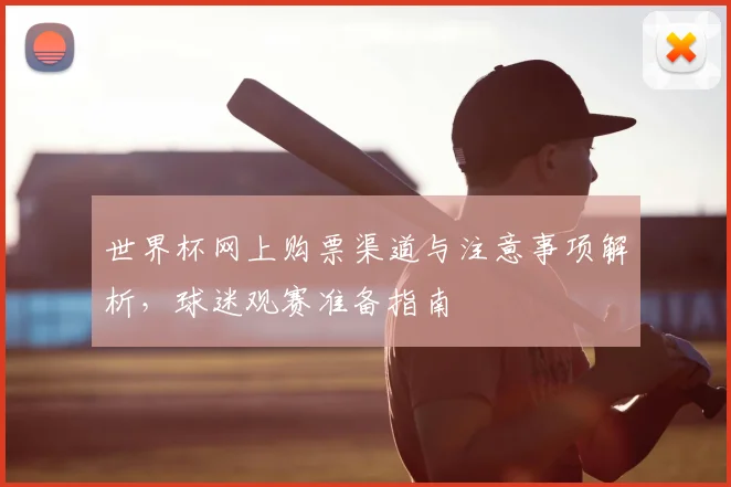 世界杯网上购票渠道与注意事项解析,球迷观赛准备指南