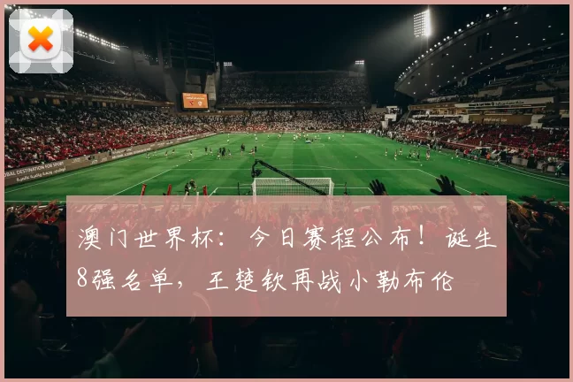 澳门世界杯：今日赛程公布！诞生8强名单，王楚钦再战小勒布伦