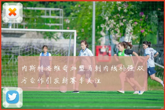 内斯特洛维奇加盟马刺内线补强 双方合作引发新赛季关注